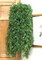 Set of 2: 46" Sprengeri Ivy Vine Bush with Realistic Fronds, UV Resistant, Indoor/Outdoor, Hanging Plants, Faux Greenery, Patio & Garden, Home & Office Decor